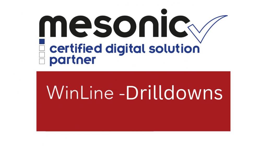 Sie sehen hier das mesonic Logo und die neuen WinLine Drilldowns mit deren Hilfe Daten auf einer tieferen Ebene analysierbar sind!